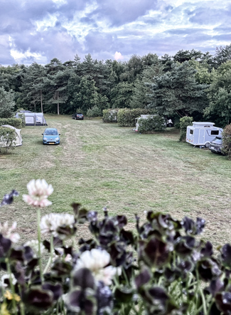 Tipperne Camping - Stemning 7.jpg