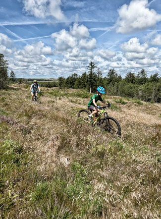 Tipperne camping natur mbt 3.jpg