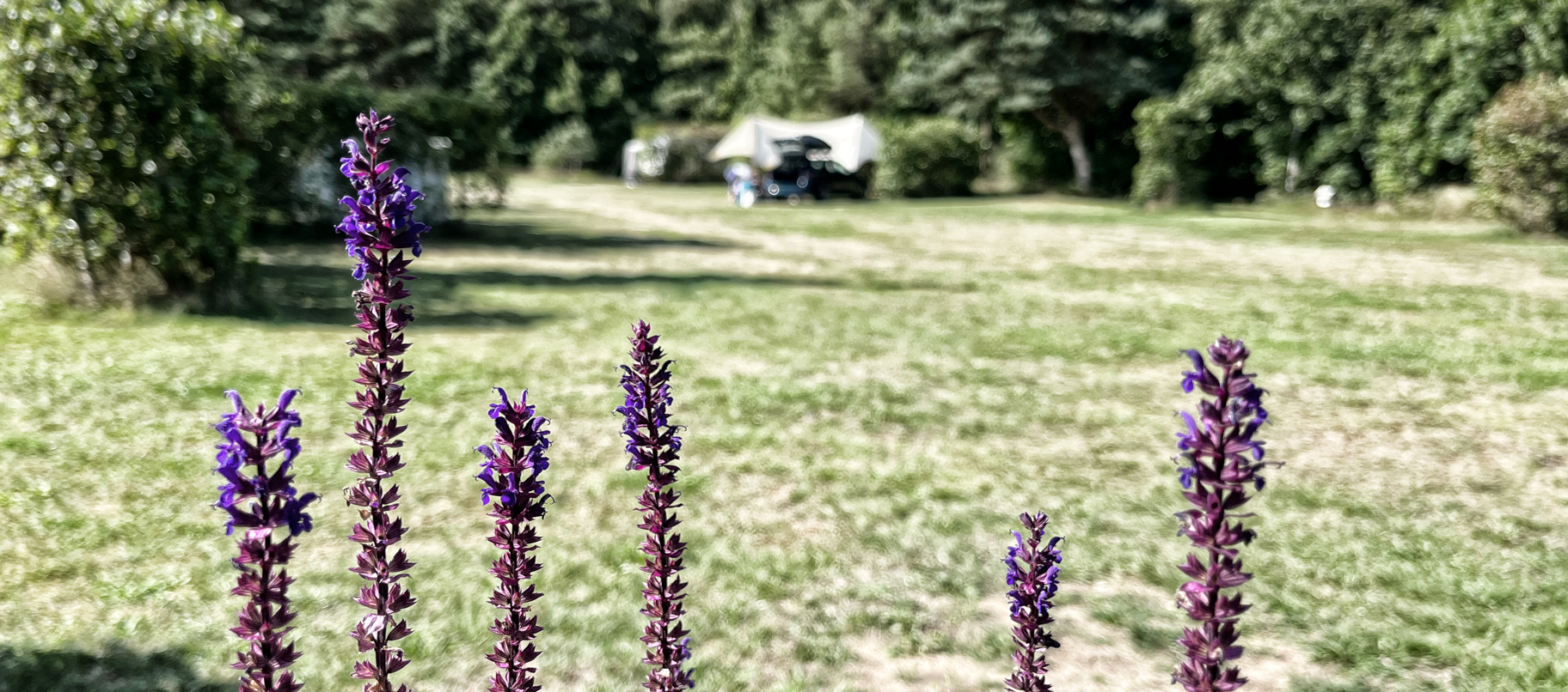 Tipperne Camping - Stemning 8.jpg